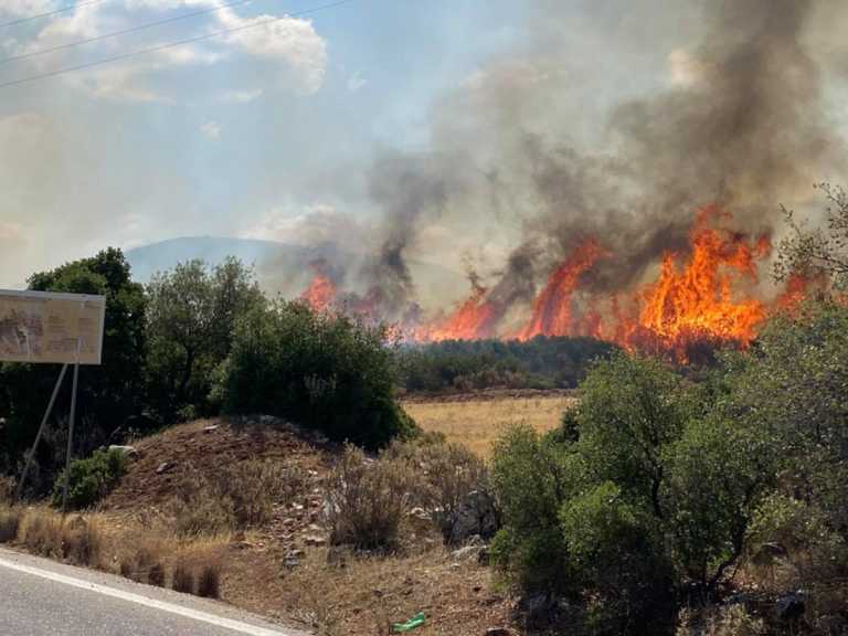 Σε ύφεση η φωτιά στη Χαλκίδα - Καλύτερη η κατάσταση στο Ναύπλιο